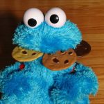 WordPress function to list site cookies